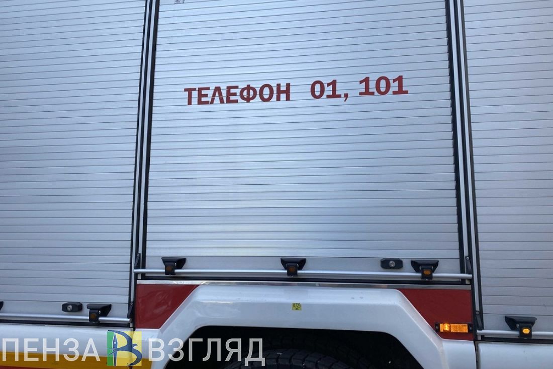 Сгоревшие квартиры, чудо-зверюшка и предупреждения депутатам: новости Пензенской области за 22 января