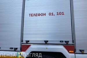 Сгоревшие квартиры, чудо-зверюшка и предупреждения депутатам: новости Пензенской области за 22 января