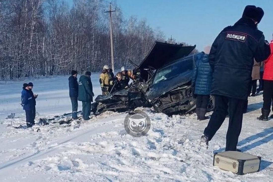 Погибли сын и мать, смертельно опасный зверь, запись на прививки – главные новости Пензы и области за 30 января