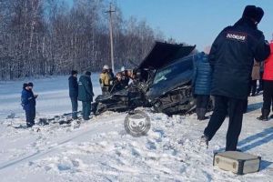 Погибли сын и мать, смертельно опасный зверь, запись на прививки – главные новости Пензы и области за 30 января