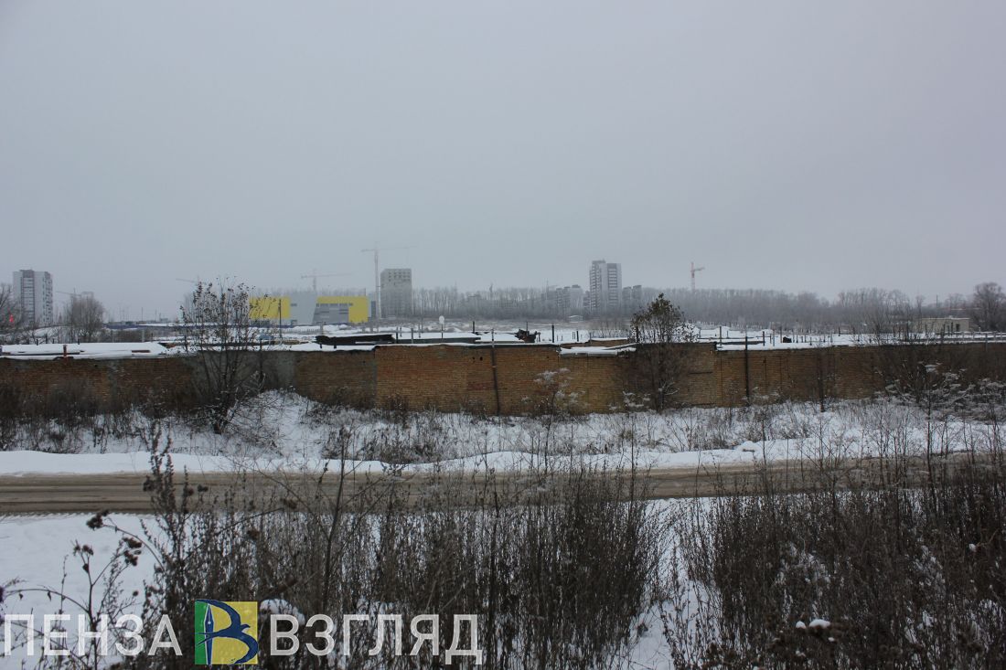 Небольшое похолодание, отключение воды и ДТП с косулей - новости Пензы за 2 февраля