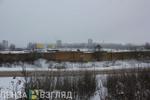 Небольшое похолодание, отключение воды и ДТП с косулей - новости Пензы за 2 февраля