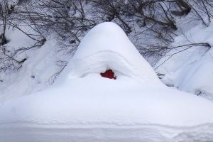 В Пензе над стоявшей на остановке женщиной обрушилась крыша. Фото
