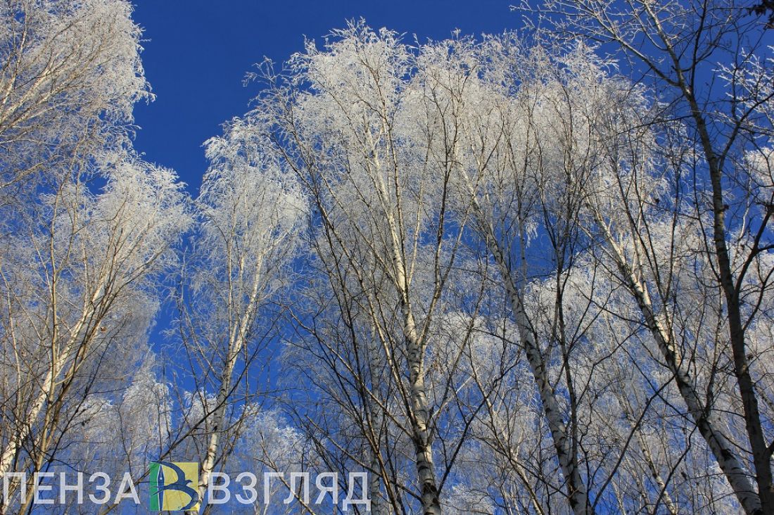 Морозная погода, пожары и новые случаи коронавируса - новости Пензы за 7 февраля
