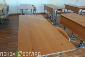 Пензенские школы сами решат вопрос о посещении детьми уроков в мороз