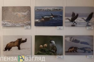 Посетители пензенской выставки смогут «телепортироваться» на Камчатку и Кавказ