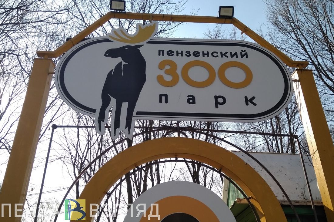 Пензенские парочки смогут сэкономить при походе в зоопарк в День влюбленных
