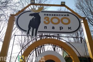 Пензенские парочки смогут сэкономить при походе в зоопарк в День влюбленных