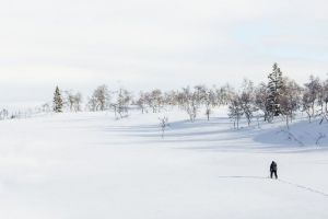 Смерть лыжника, автомобиль на крыше, голая прогулка – главные новости Пензы и области за 14 февраля