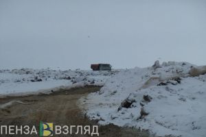 Мусороперерабатывающий завод в Пензенской области: влияние на экологию и тариф для населения