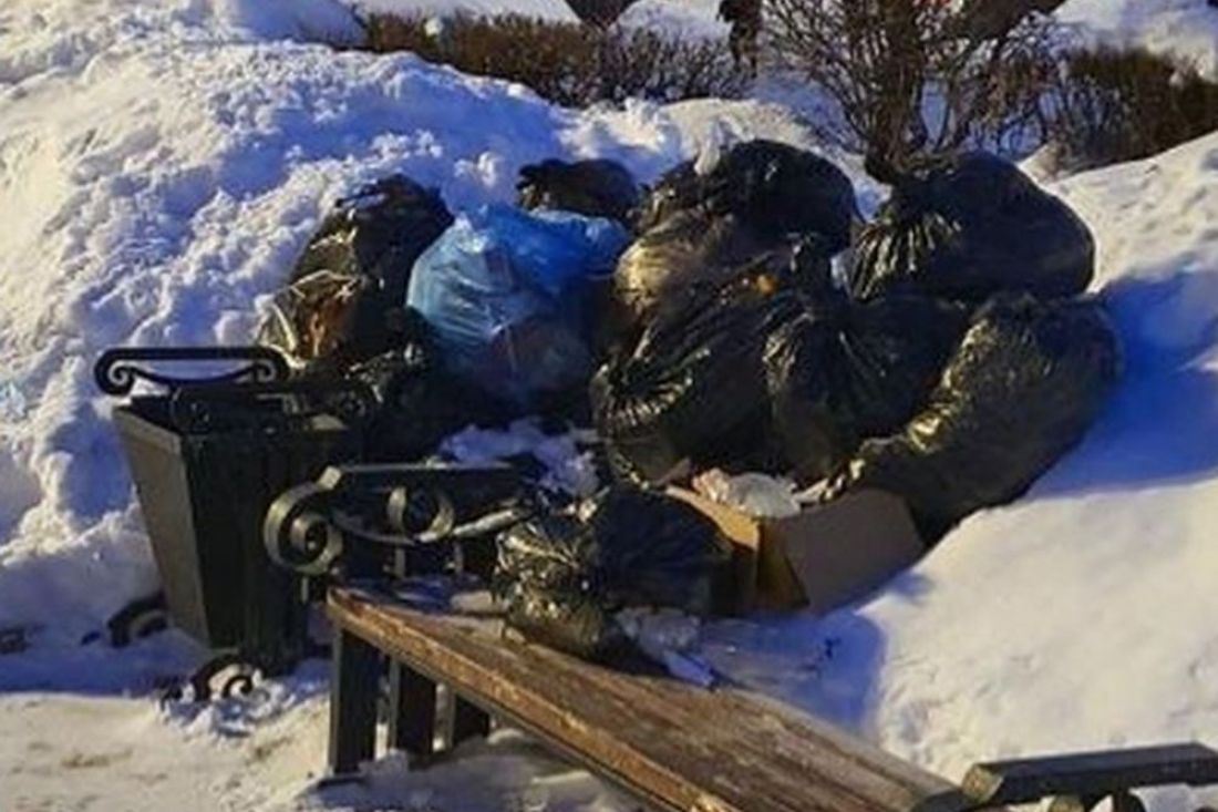 Жители Пензы удивились куче мусора у здания областного правительства