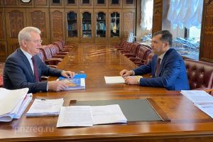 Реконструкцию пензенского аэропорта пообещали поддержать в Росавиации