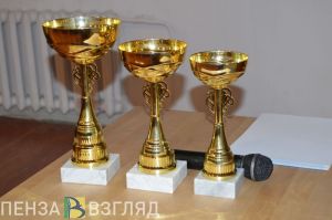 Победа на чемпионате, пост школьницы и выход в плей-офф - новости Пензы за 22 февраля