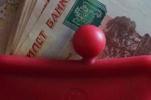 В Совфеде назвали сроки индексации выплат работающим пенсионерам