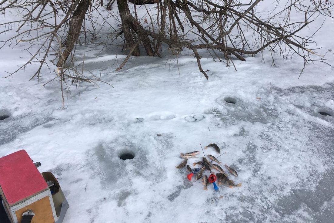 Пензенский рыбак пробурил на Суре 45 лунок, чтобы вернуться с уловом