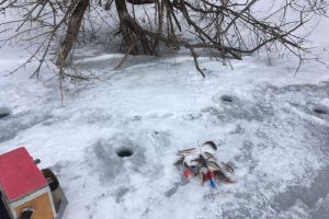 Пензенский рыбак пробурил на Суре 45 лунок, чтобы вернуться с уловом