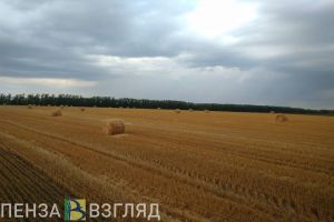 Пензенская область - лидер по вводу в оборот неиспользованных земель