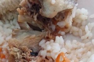 Пензенский Минобр: фото с опарышами в столовой оказалось шуткой