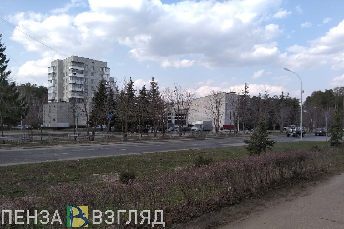 «Минное поле». Зареченцы жалуются на фекалии по всему городу