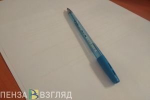 Попков назначен заместителем руководителя аппарата пензенского правительства
