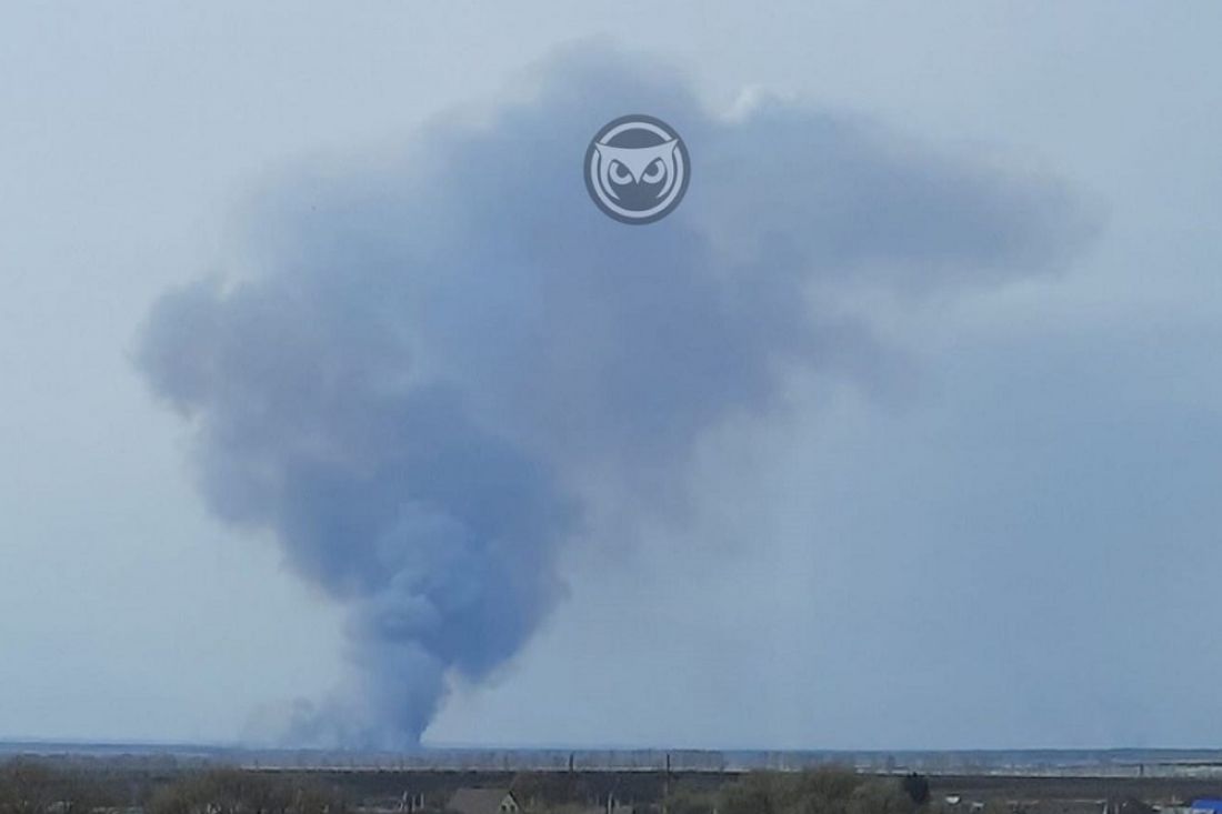 «Горят дачи». Очевидцы сообщили о серьезном пожаре под Пензой