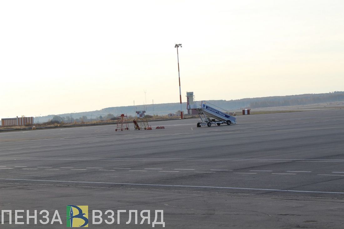 Силовики встретили пассажира у трапа самолета в Пензе