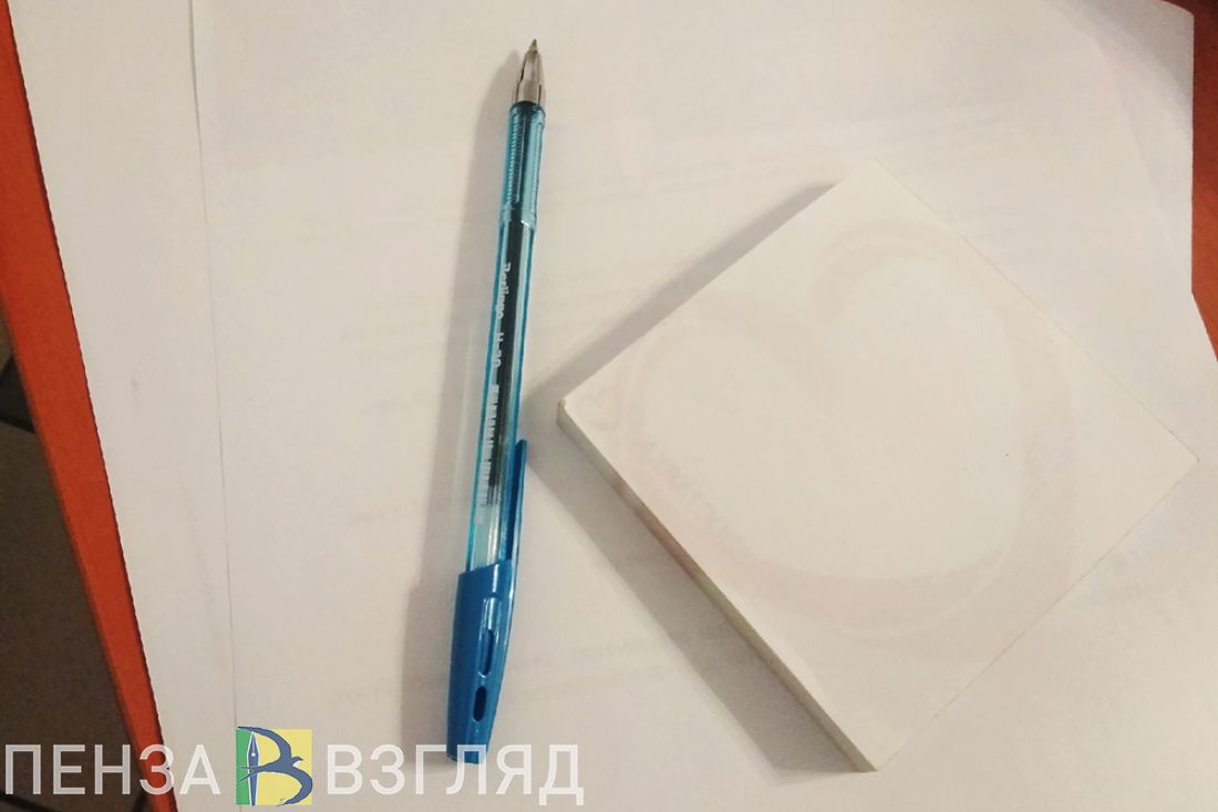 Доходы депутатов, смертельный пожар и похолодание - новости Пензы за 18 апреля