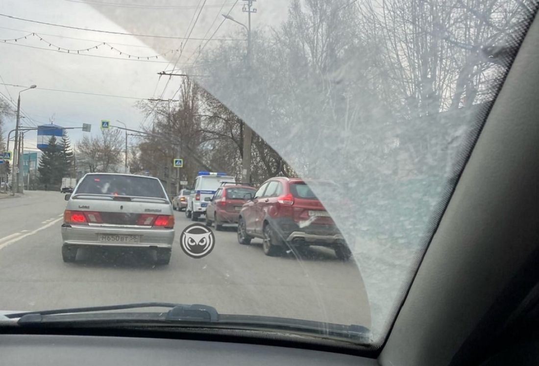 Пензенцы сообщили о трупе на улице Павлушкина