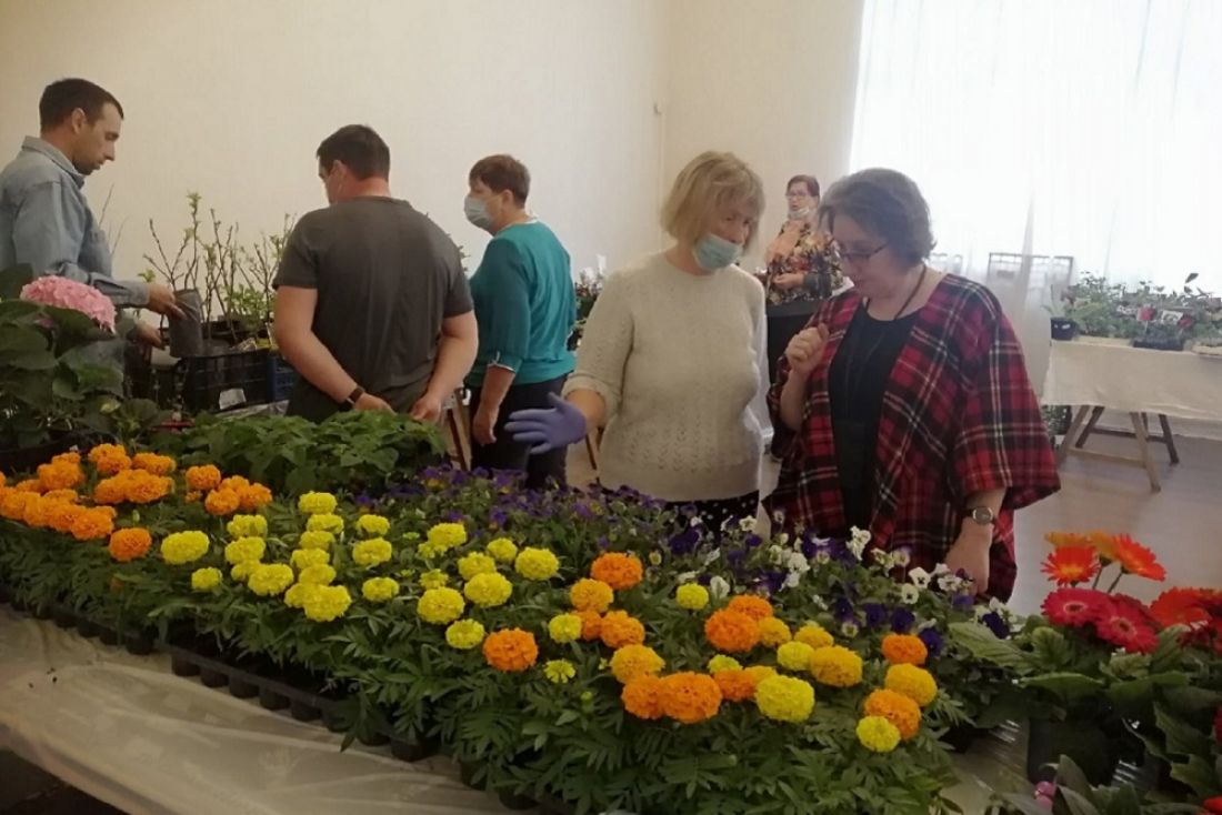 Картинная галерея в Пензе наполнилась цветами и садовыми растениями