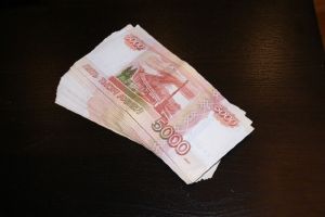 Сколько заработали самые молодые депутаты Пензенской гордумы Рогожкин и Бабынина