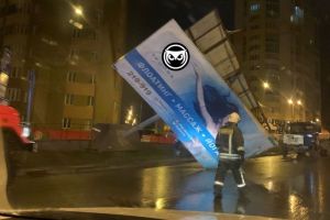 В Пензе фиксируют последствия мощной ночной бури. Фото