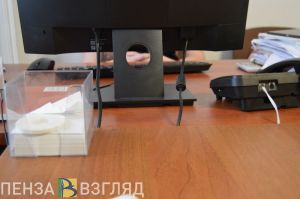 Появилась информация о доходах депутата Елены Мещеряковой