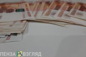 Депутат пензенского Заксобра Яна Куприна отчиталась о доходах за 2020 год