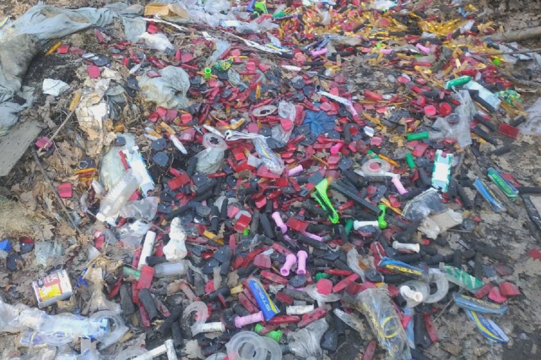 В Арбековском лесу Пензы обнаружили кучу «велосипедного» мусора. Фото