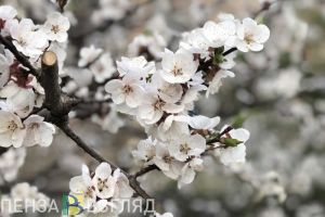 Куда поехать на майские праздники. Топ-5 мест в Пензенской области