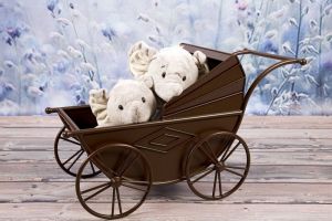 В Пензе пройдет парад детских колясок