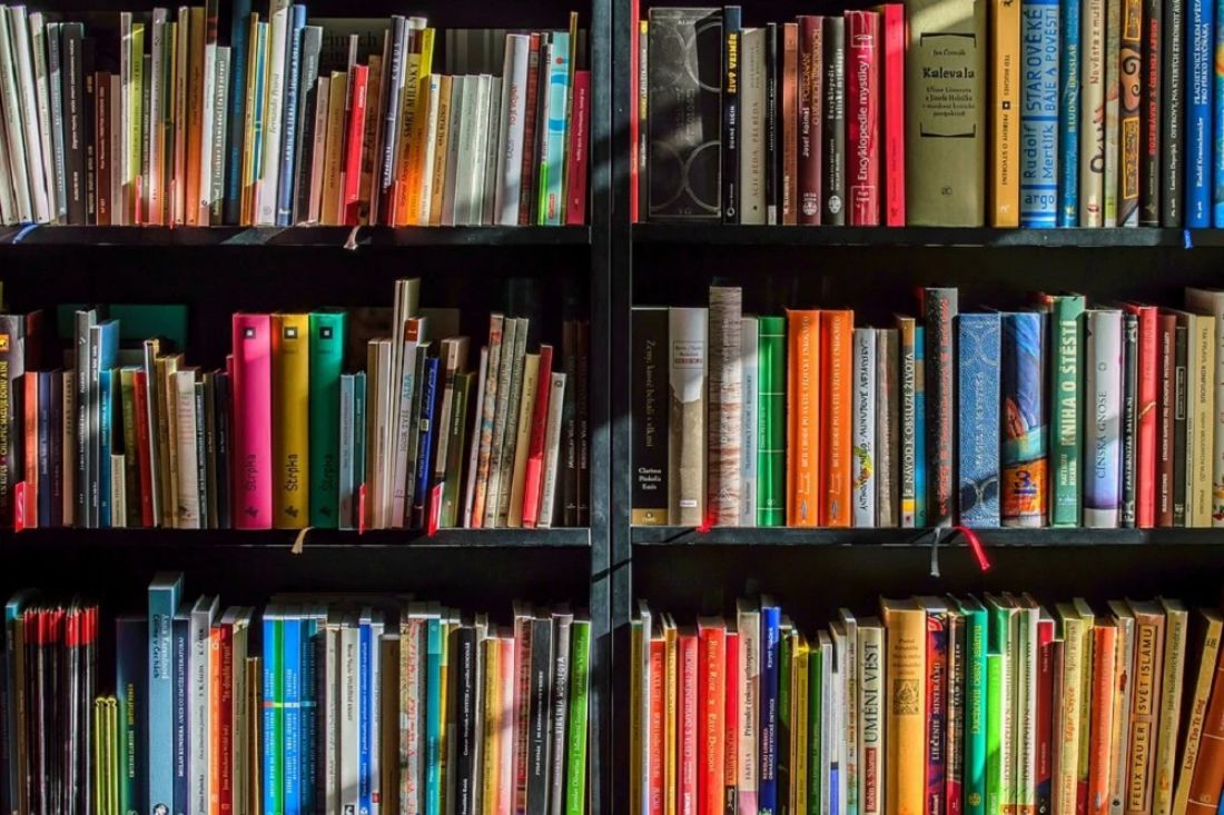 Мельниченко поручил рассмотреть возможность переиздания книг пензенских авторов