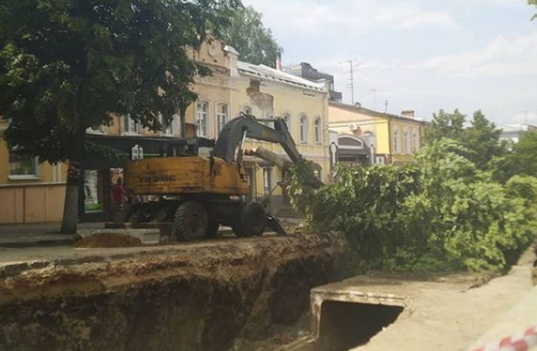 «Кто это разрешил?» Пензенцы возмущены спилом лип на улице Московской