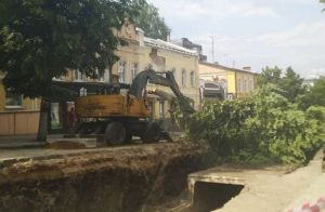 «Кто это разрешил?» Пензенцы возмущены спилом лип на улице Московской