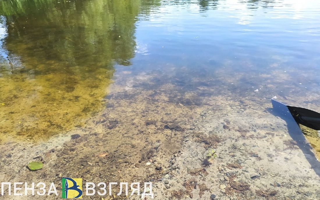 Цена контракта на расчистку пруда у больницы №6 в Пензе превышает 27 млн рублей