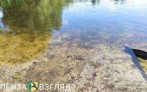 Цена контракта на расчистку пруда у больницы №6 в Пензе превышает 27 млн рублей