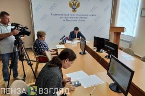 Об экономической переписи малого бизнеса рассказали в Пензастате