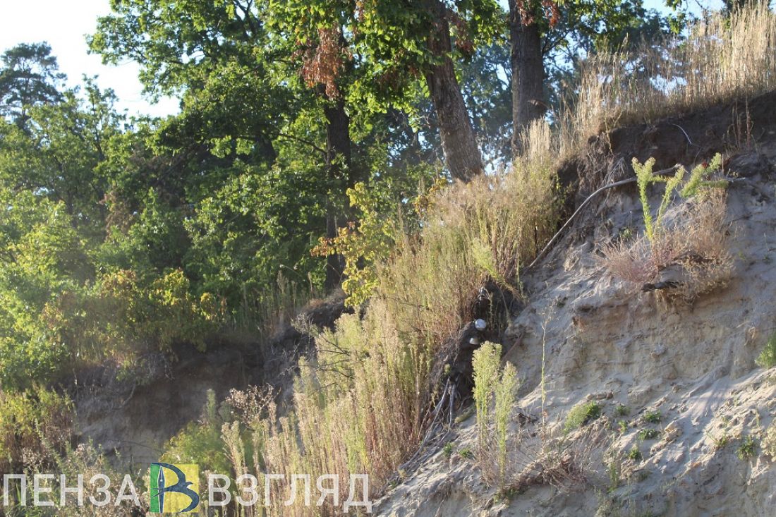 Погибший мужчина, перевернувшаяся машина и вручение наград: новости Пензенской области за 12 июня