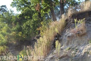 Погибший мужчина, перевернувшаяся машина и вручение наград: новости Пензенской области за 12 июня