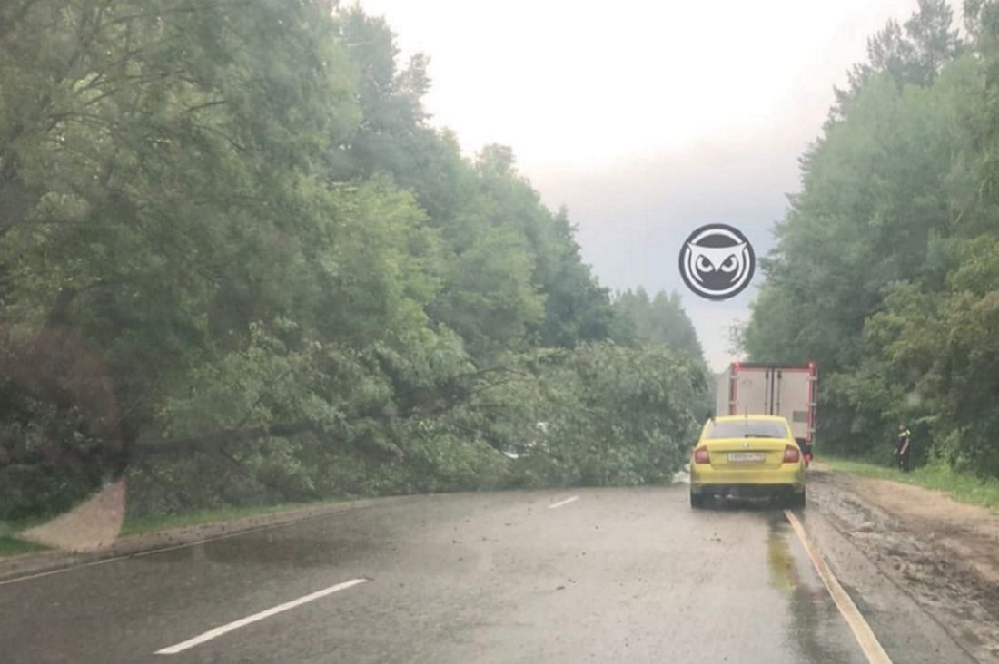 Под Сердобском упавшее дерево перегородило дорогу