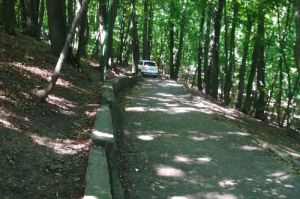 Пензенец решил объехать перекрытые улицы по тропе здоровья