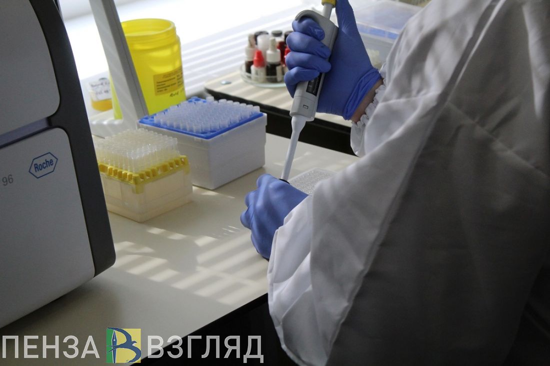 Антиковидные паспорта, утонувшие мужчины и выпускной в особом режиме: новости Пензенской области за 21 июня
