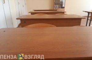 Две школьницы из Пензы написали ЕГЭ по обществознанию на 100 баллов