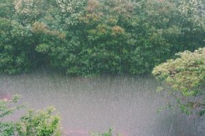 Мощный ливень, убийство парня и отключение воды - новости Пензы за 1 июля