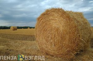 В Пензенской области заготовили более 167 тысяч тонн сена
